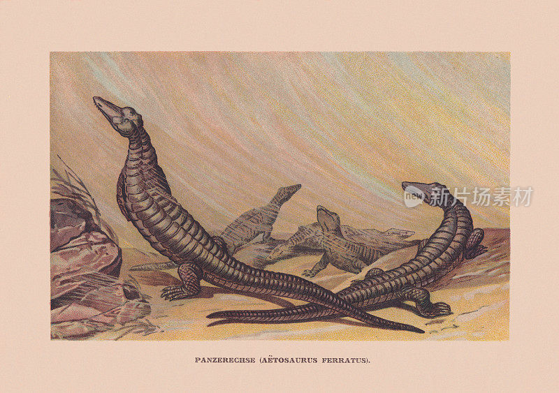 费氏Aetosauria ferratus，晚三叠纪，彩色石刻，出版于1900年